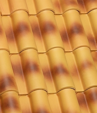 Flamed Silves Yellow