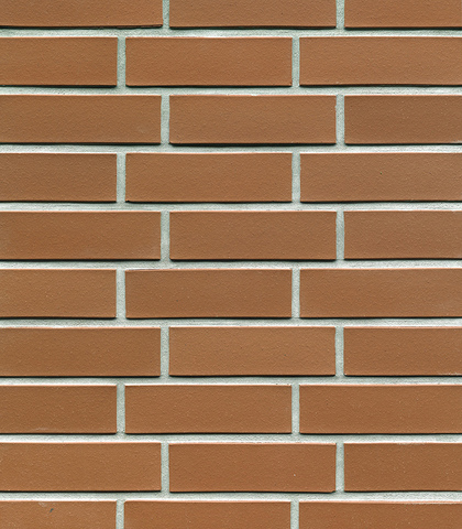 Клинкерный кирпич Buchholz