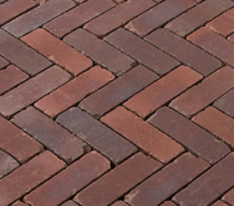  TERRA NOVARA ANTICA