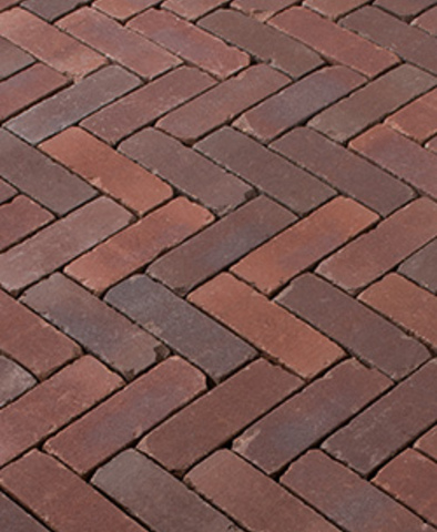  TERRA NOVARA ANTICA