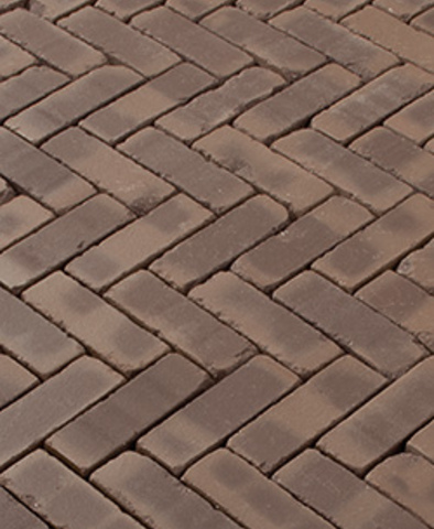  TERRA VERONA ANTICA