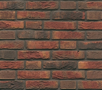  Фризланд