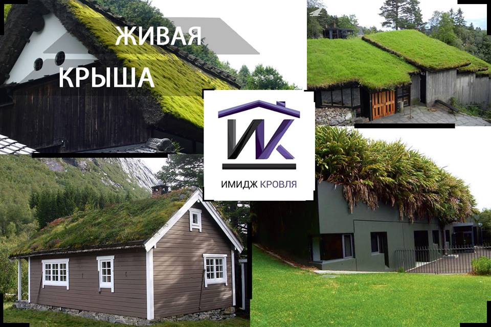 ИНТЕРЕСНОЕ. ЖИВАЯ КРЫША ДОМА